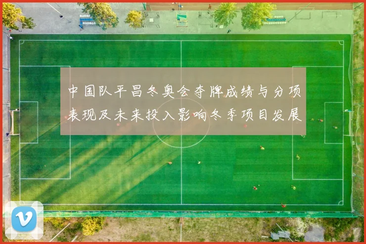 中国队平昌冬奥会夺牌成绩与分项表现及未来投入影响冬季项目发展